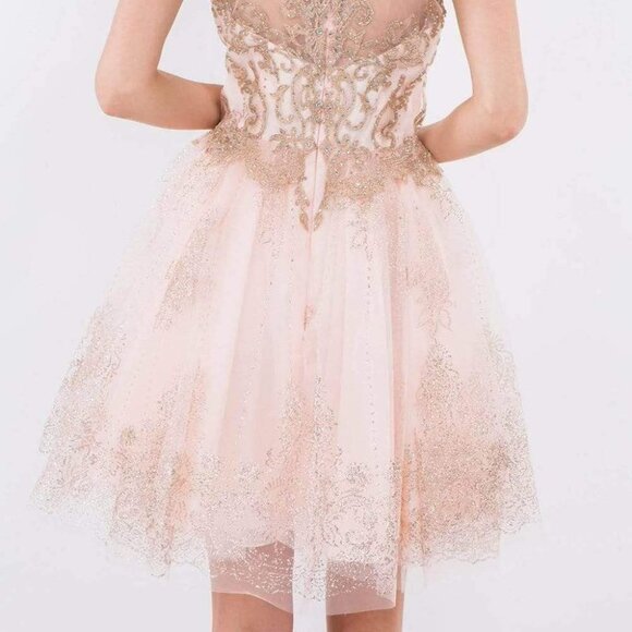 NWT Elizabeth K GS1964 Mesh Cocktail Dress Pink Size 2XL - Picture 6 of 10